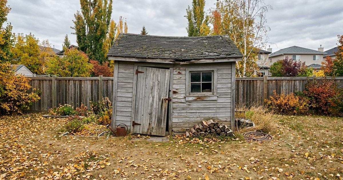 Shed Removal Cost in Calgary: What Sets the Price